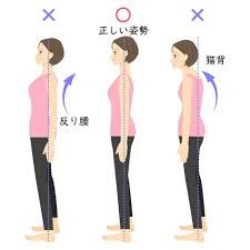 正しい姿勢の作り方について