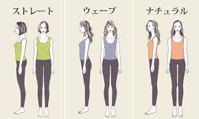 正しい体型の種類について