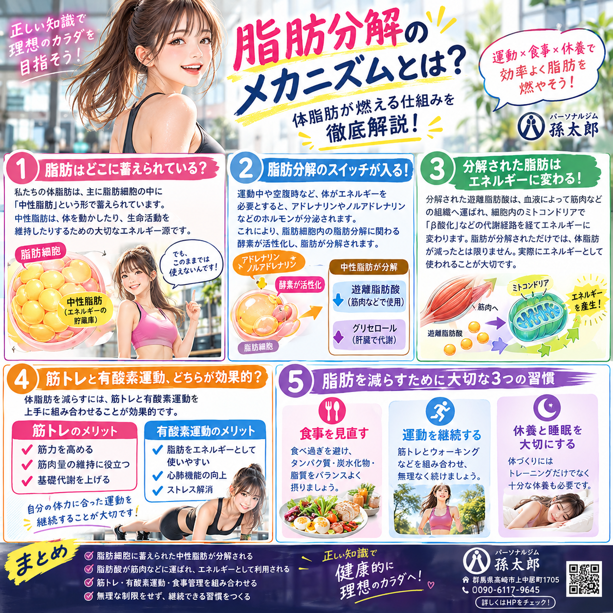 🔥 脂肪分解のメカニズムとは？体脂肪がエネルギーに変わる仕組みを徹底解説！